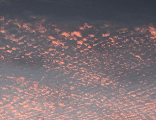 The Courage to Love: An Antidepressant for Our Times