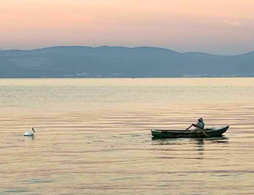 Living in the Eye of the Storm + free practices