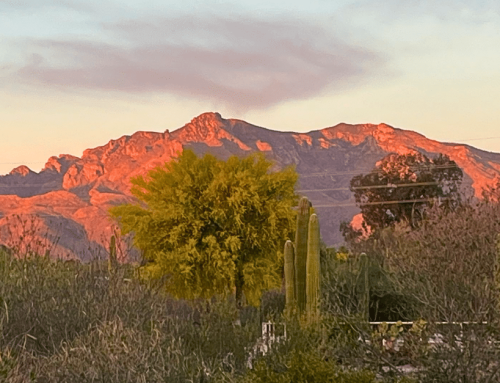 Intimacy and Autonomy: A Balancing Act